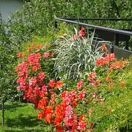 Apartma Maell 1 Lägenhet