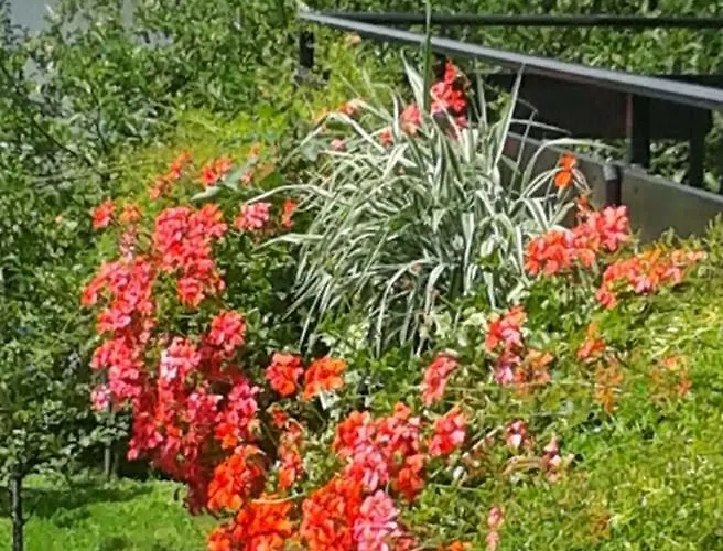 Apartma Maell 1 Lägenhet