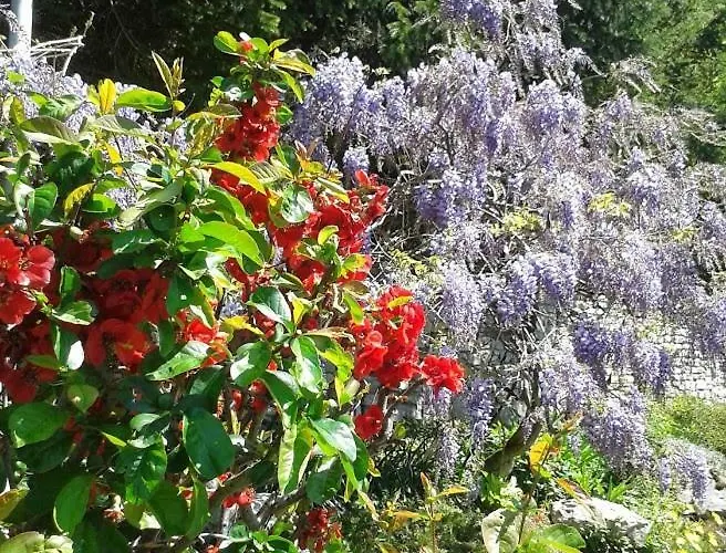 Apartma Maell 1 Lägenhet *